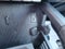 2025 Toyota Tacoma TRD Off Road Hybrid