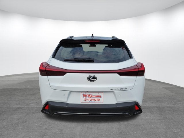2023 Lexus UX UX 250h F SPORT Handling